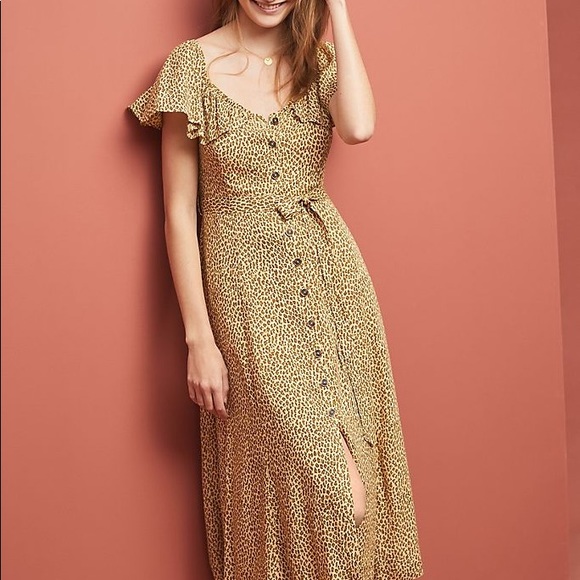 Anthropologie Dresses & Skirts - Anthropologie Bolano Cheetah Animal Print Dress 6